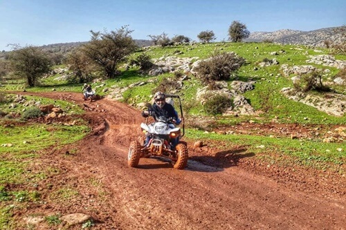 פיינטבול כלנית